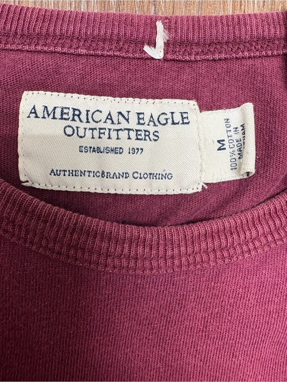 American Eagle Outfitters Maroon Dragon Graphic Tank